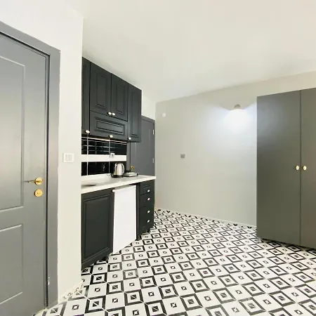 Pleasant Studio Flat In Kabatas Beyoglu *